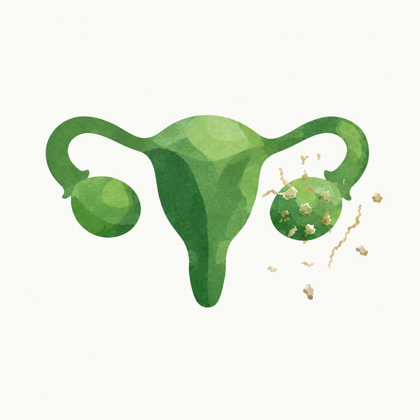 Illustration: microplastics found around the ovaries