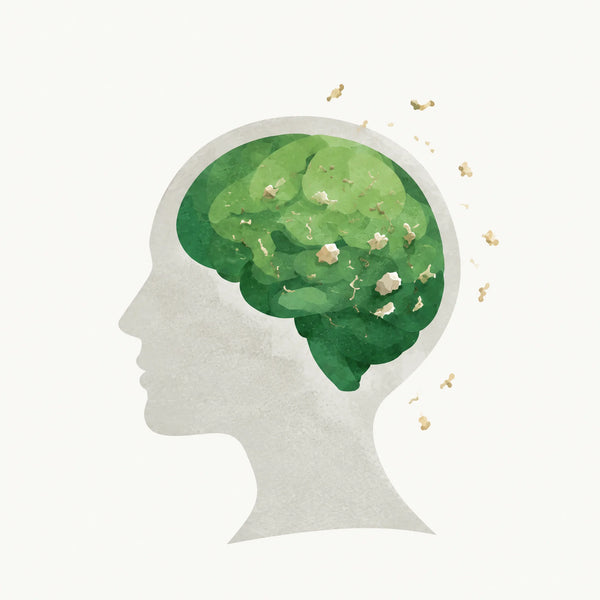 Illustration: microplastics found in the brain