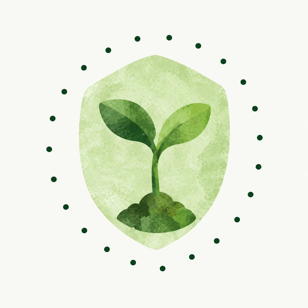 Illustration of a young broccoli sprout growing inside a soft shield with a dotted ring around it