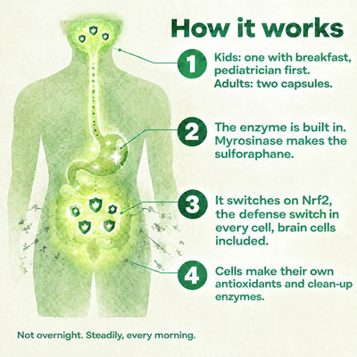 How it works: kids take one with breakfast, pediatrician first, adults two; it switches on Nrf2, the defense switch in every cell