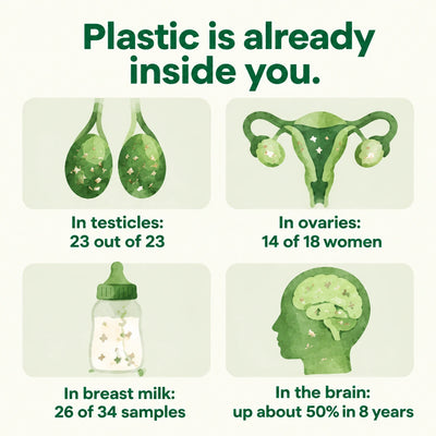 Plastic found in 23 of 23 testicles, 14 of 18 women's ovaries, 26 of 34 breast milk samples, and up about 50% in the brain in 8 years