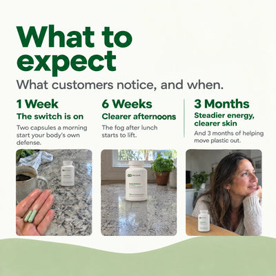 What to expect: the switch is on in week 1, clearer afternoons by 6 weeks, steadier energy and clearer skin by 3 months