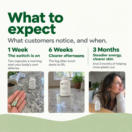 What to expect: the switch is on in week 1, clearer afternoons by 6 weeks, steadier energy and clearer skin by 3 months